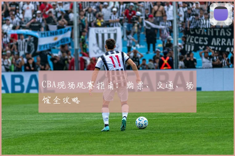 CBA现场观赛指南:购票、交通、场馆全攻略