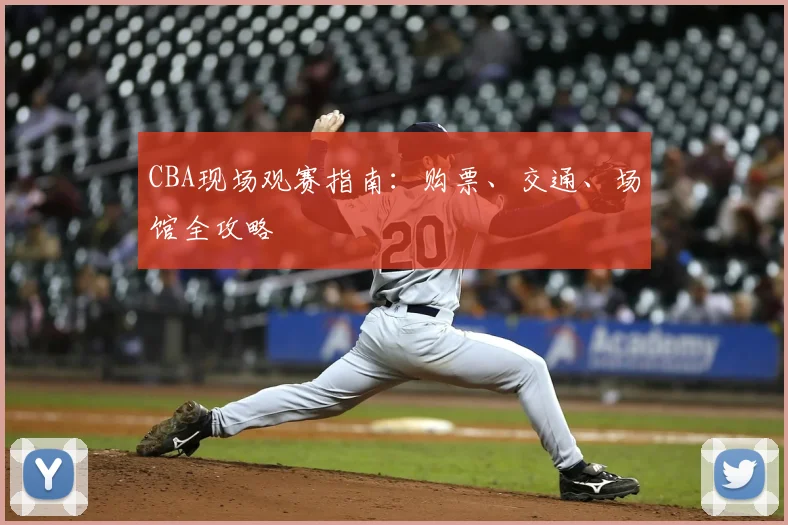 CBA现场观赛指南:购票、交通、场馆全攻略