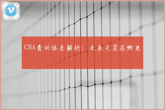 CBA青训体系解析:未来之星在哪里
