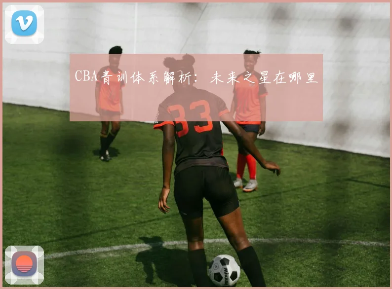 CBA青训体系解析:未来之星在哪里