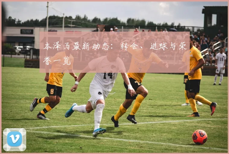 本泽马最新动态:转会、进球与荣誉一览