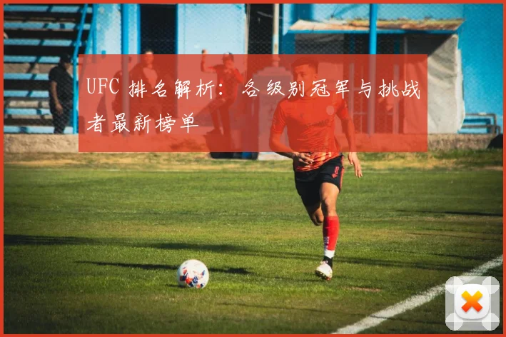 UFC 排名解析:各级别冠军与挑战者最新榜单